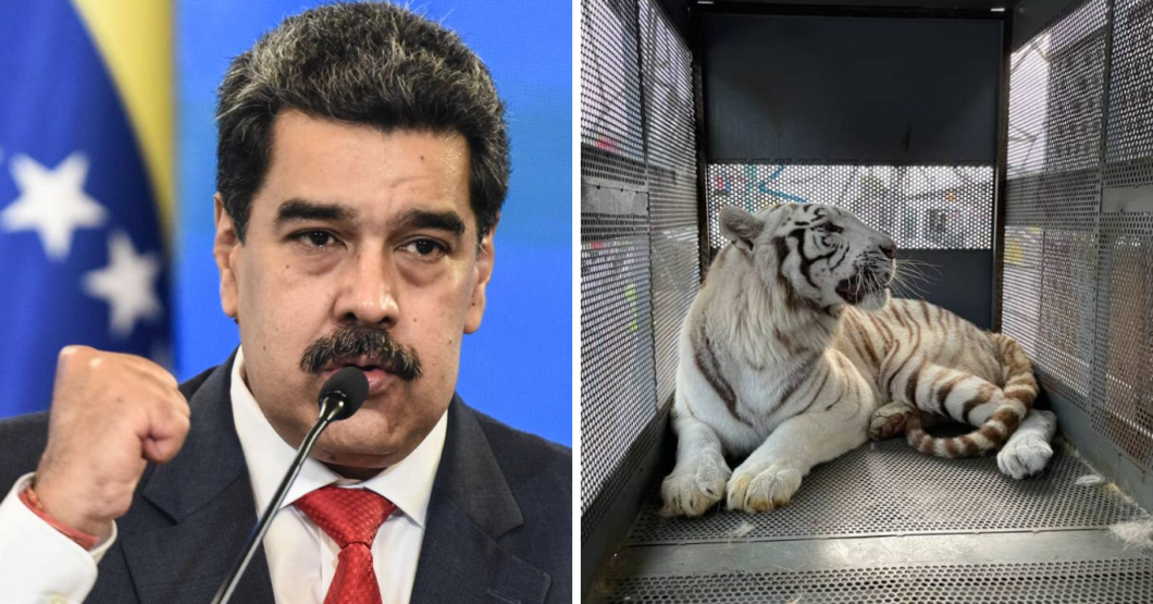 “Bloqueo económico apátrida solo permite que traigamos 4Runners y Tigres de Bengala“ asegura Maduro