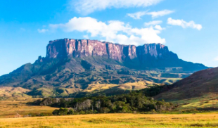 Tepuy emigra a Brasil