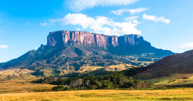 Tepuy emigra a Brasil